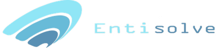 EntiSolve
